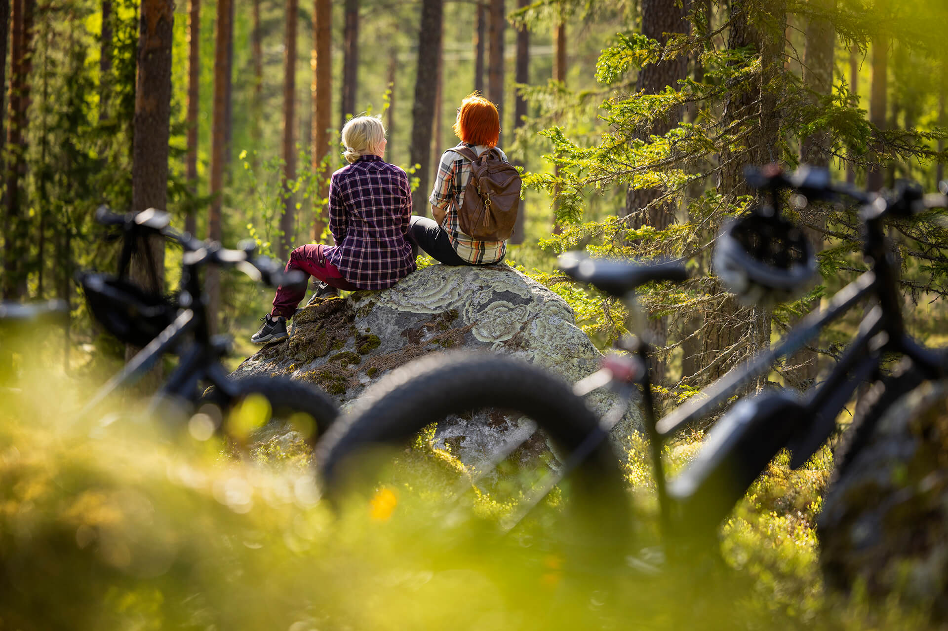 Ihmiset istuvat kivellä metsässä, etualalla on pyörät parkissa.