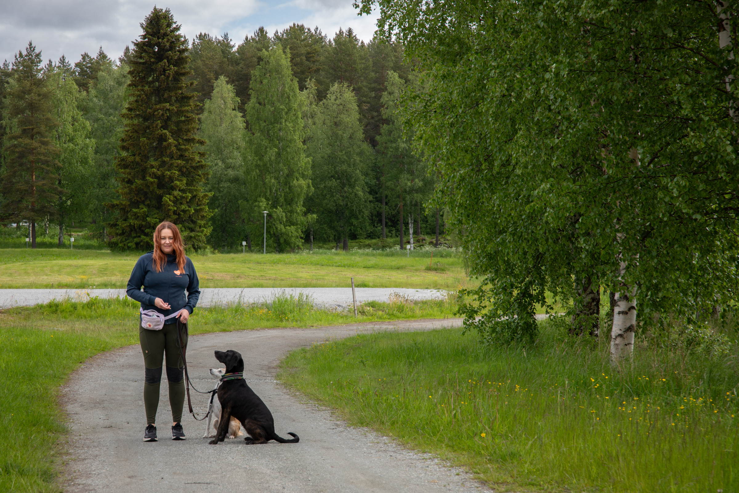 Henkilö on ulkoiluttamassa koiraa löysässä hihnassa. Koira istuu katsoen henkilöä, joka kaivaa herkkupussia.