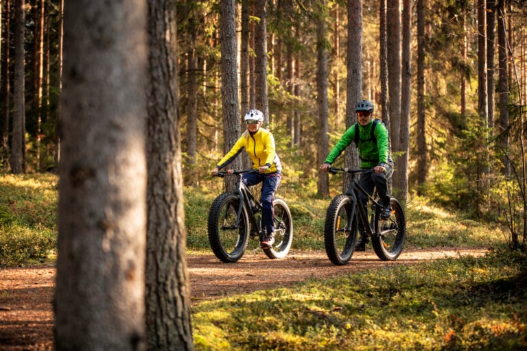Kaksi henkilöä pyöräilee läskipyörillä mäntymetsässä.